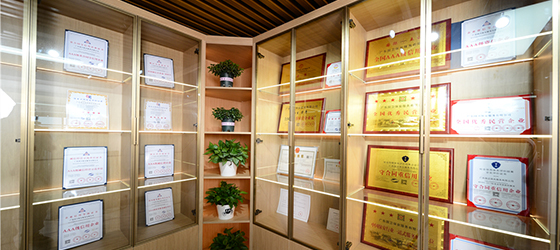 给你想要的客服服务